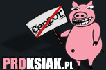 Proksiak.pl - bramka proxy